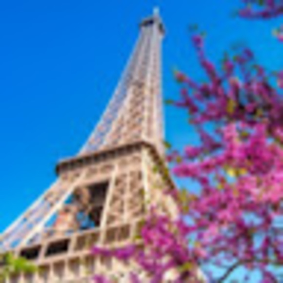 Meet your Posher, Sylvie - Picture 1 of 1